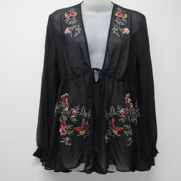 Express Black Sheer Embroidered Deep V-Neck Babydoll Fairy Long Sleeve Blouse M - Picture 1 of 5